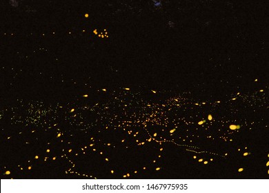 Firefly, Lightning Bugs On Black Background