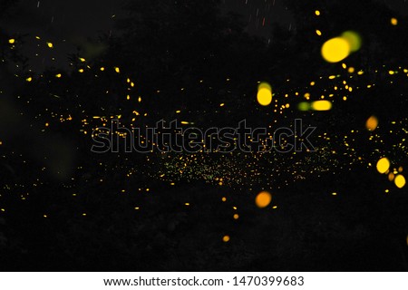 Firefly, lightning bugs on black background