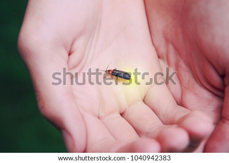 Firefly on a child's hand