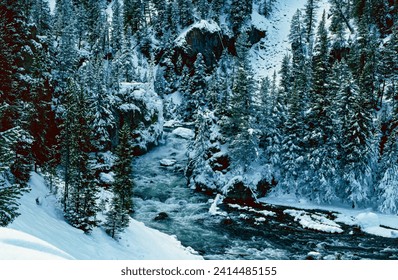 The Firehole River desends through a deep canyon in Yellowstone National Park in Winter. Yellowstone National Park, Wyoming