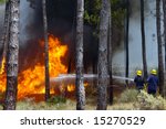 fireman working