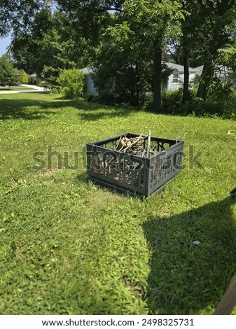 firepit in the back yard