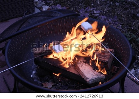 Fire-pit s’mores with flaming anticipations fire