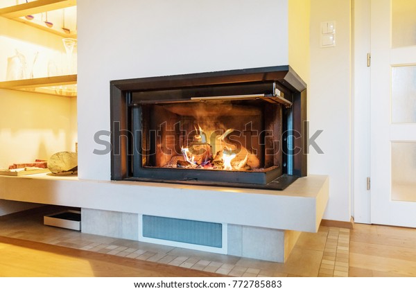 Fireplace Modern House Burning Wood Fireplace Stock Image