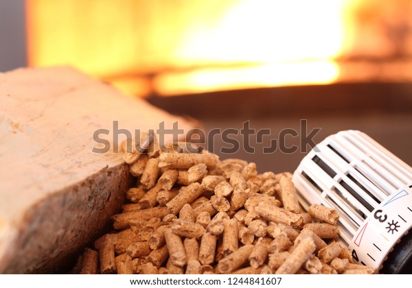 Fireplace Pellets Thermostat Stock Image Download Now