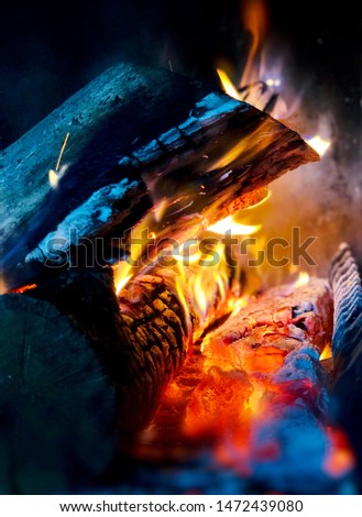 Similar – Image, Stock Photo Preparation of meal on a fire