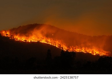 Fires burned in a straight line along the hillside at night, turning the entire area red like hot flames. - Powered by Shutterstock