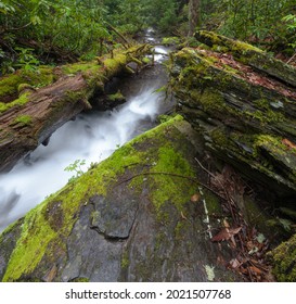 Fires Creek Area In The Nantahala National Forest