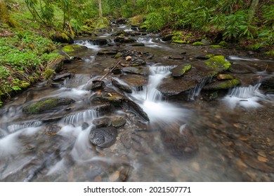 Fires Creek Area In The Nantahala National Forest