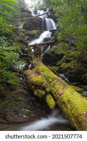 Fires Creek Area In The Nantahala National Forest