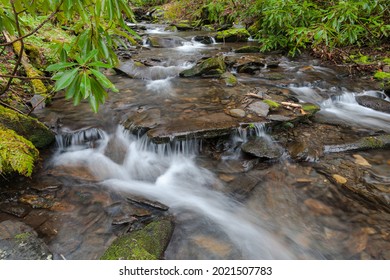 Fires Creek Area In The Nantahala National Forest