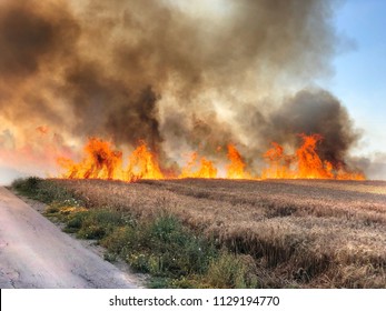 Fires In Israel That Caused From Burning Kites And Balloons That Sent From The Gaza Strip To Israel By The Terror Organisation 