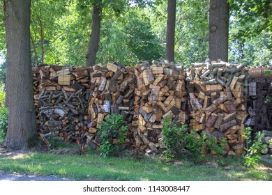 firewood between trees