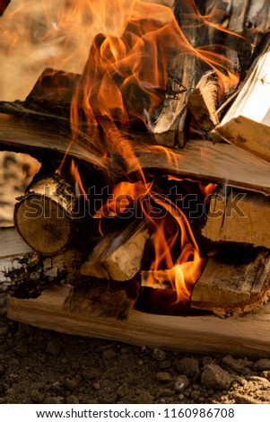 Similar – Image, Stock Photo Preparation of meal on a fire