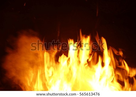 Firewood flames, pine nose leaves,strong flames, flickering flames, flame background, At Mitsuan, Hanyu City, Saitama, Japan,