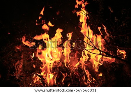 Firewood flames, pine nose leaves,strong flames, flickering flames, flame background, At Mitsuan, Hanyu City, Saitama, Japan,