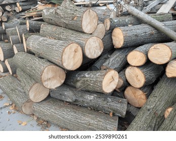 firewood large wooden logs close up front view - Powered by Shutterstock