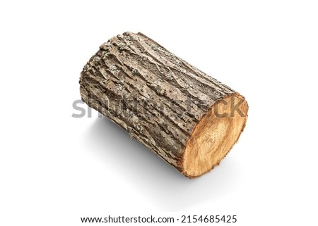 Firewood log on white background