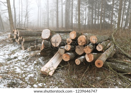 Similar – Holz vor der Hütte Umwelt