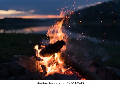 Firewood on night nature