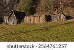 Firewood in Posern at Bad Goisern, Salzkammergut, Gmunden district, Upper Austria, Austria
