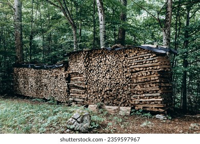 Firewood prepared for the winter and stacked to dry in the forest