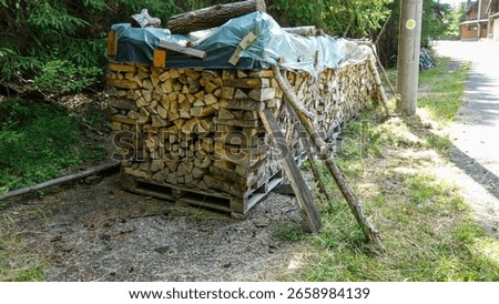 Firewood stack covered by tarp in a forest setting