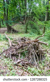 Firewood stack for the heating periode