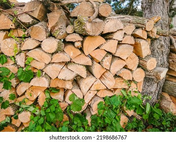 Firewood Stacked In A Pile For Winter Heating With Fireplace Or Stove. Big Stack Of Firewood And Bio Fuel Being Stored For Gas Shortage. Europe Energy Crisis.