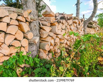 Firewood Stacked In A Pile For Winter Heating With Fireplace Or Stove. Big Stack Of Firewood And Bio Fuel Being Stored For Gas Shortage. Europe Energy Crisis.