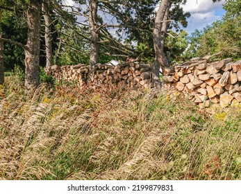 Firewood Stacked In A Pile For Winter Heating With Fireplace Or Stove. Big Stack Of Firewood And Bio Fuel Being Stored For Gas Shortage. Europe Energy Crisis.