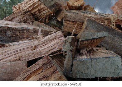 Firewoods #2