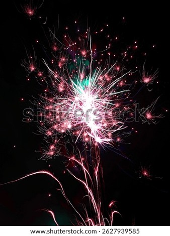 firework, colourful, night, beautiful view