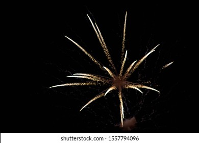 Firework Display Lighting up the Dark Sky