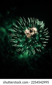 firework exploding in night sky