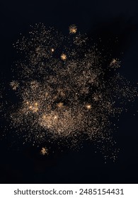 Firework Exploding in Night Sky