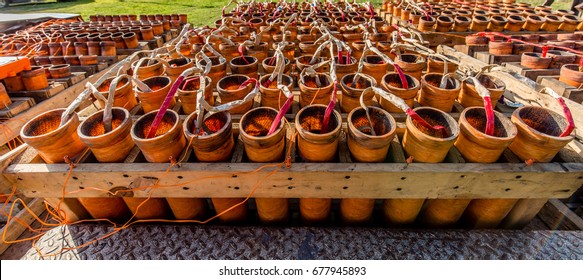 Firework Finale Mortar Rack/Wide View/With Shells