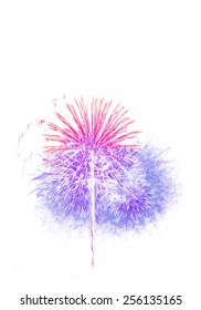 Firework Isolated White Background 