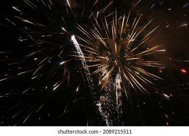 firework on the black sky 