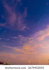 Firework on the evening sky.