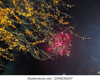 Firework through Trees at Night