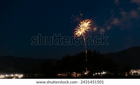 of fireworks about to bloom.
