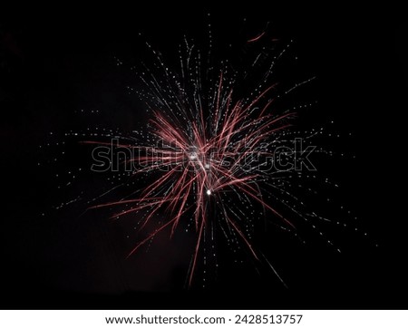Fireworks blasts on black sky