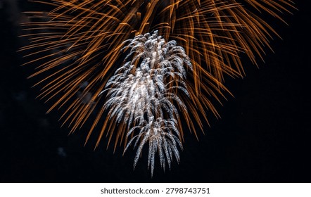 Fireworks explode dramatically in the night sky, creating a vibrant display of light and celebration