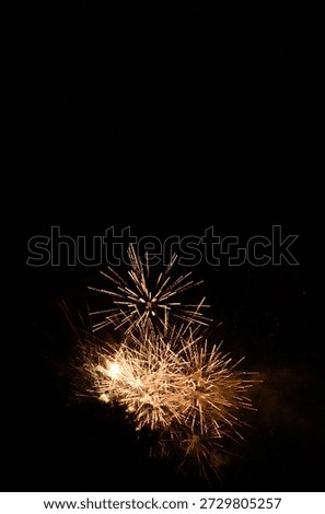 fireworks exploding in black night sky