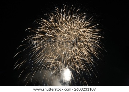 Fireworks exploding in the dark night sky during a celebration.