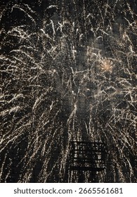 fireworks exploding in night sky 