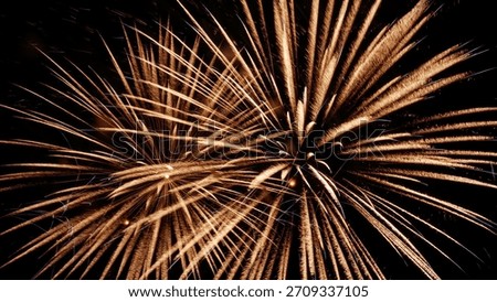 Fireworks exploding in the night sky