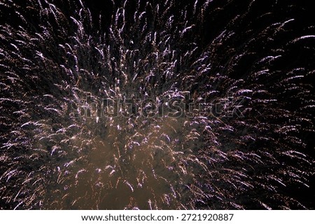 Fireworks exploding in night sky