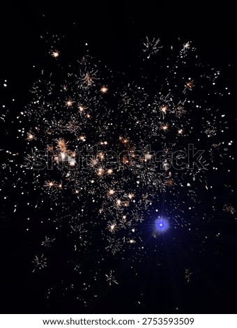 Fireworks exploding in the night sky
